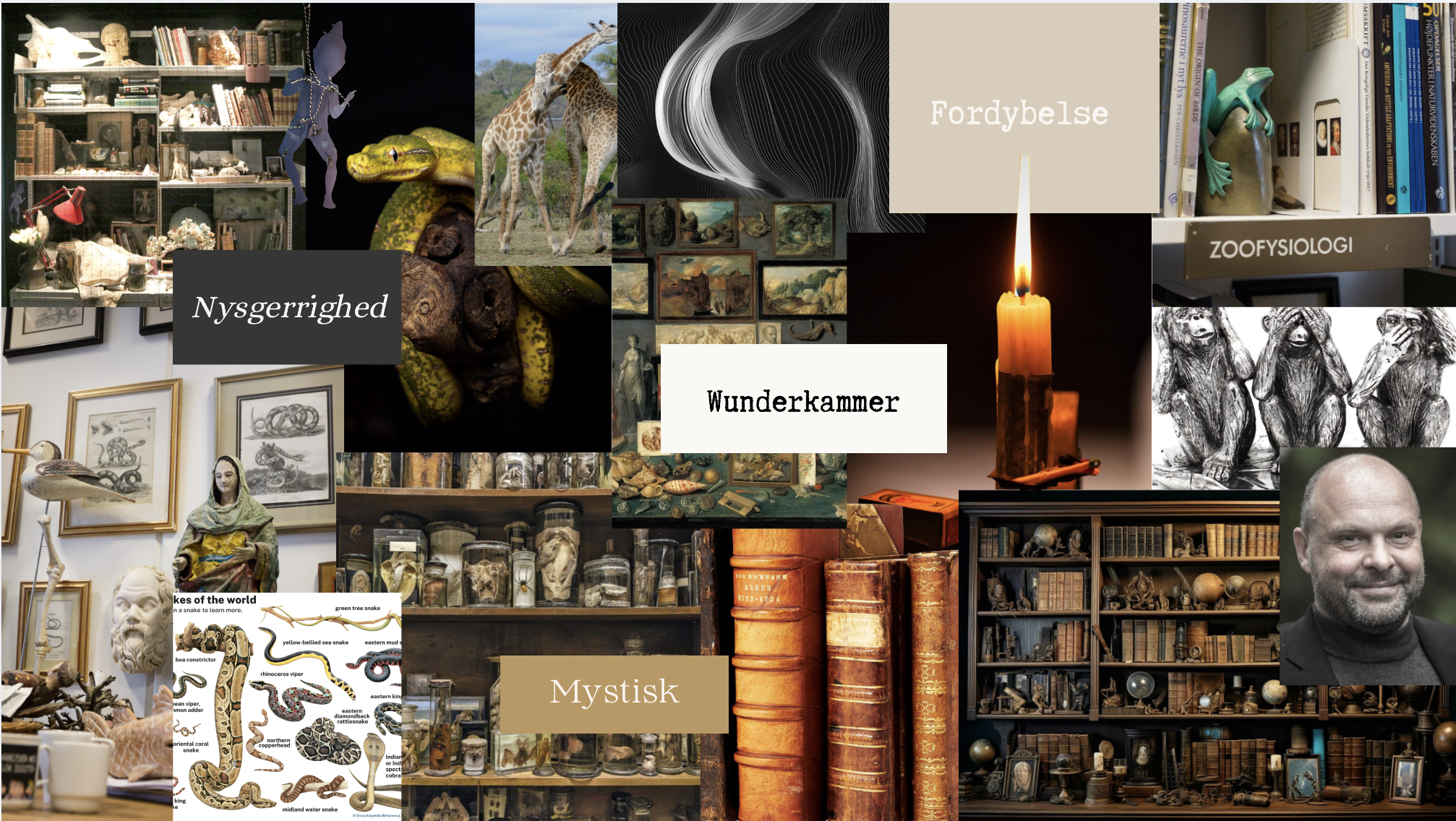 Havblink moodboard/collage
